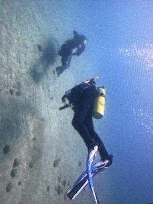 SCUBA dive at Meeks Bay