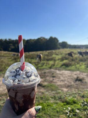 Frozen hot chocolate = heaven