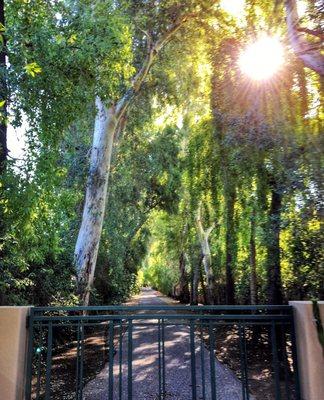 Enchanting private lane.