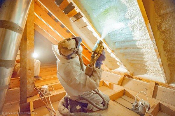 Spray Foam Insulation