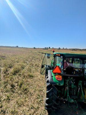 Prairie Tour to see the bison