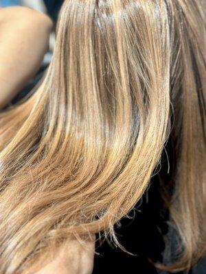 Golden highlights . Base color