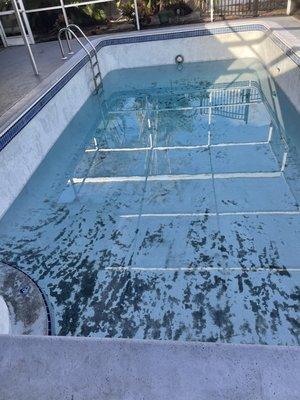 This is how they left my pool after telling me it was clean