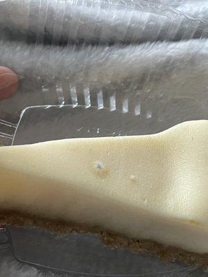 Moldy cheesecake