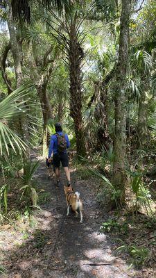 Shaded trail