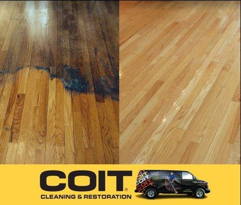 The COIT Difference For Wood Floor Cleaning Including Laminate, Engineered, And Solid Hardwood