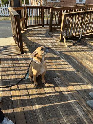 The patio is very pet-friendly.