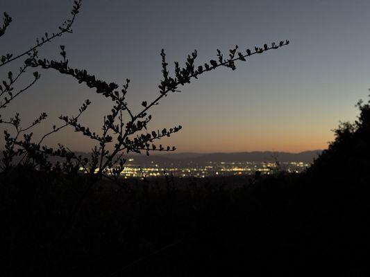 LA Early Morning Skyline