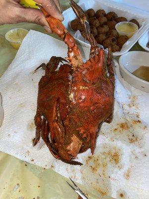 Huge Medium Male Crabs..Sweet & Meaty!