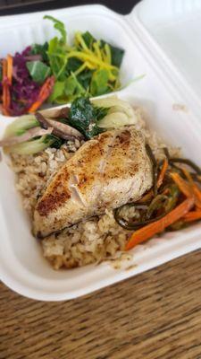 black cod daily special bento box