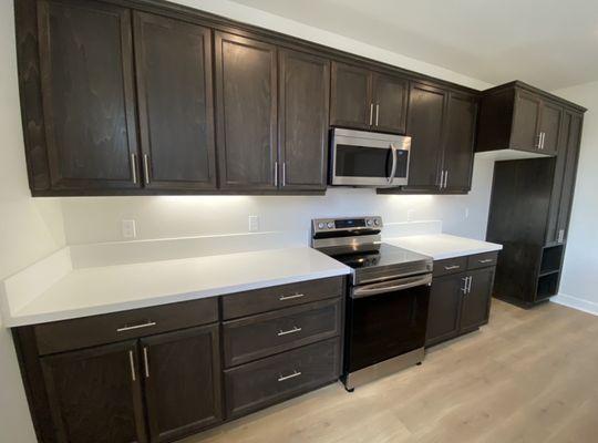 Dark cabinets that came with the house (before)