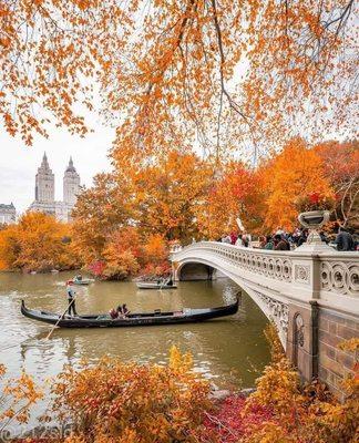 Central Park Conservancy