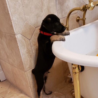 Watching the kids in the tub.