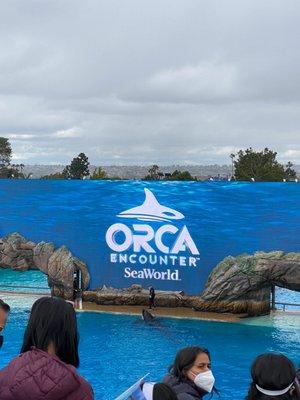 Orca encounter signage