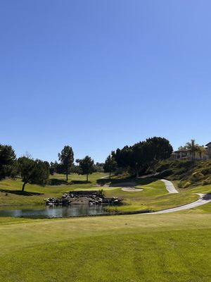 Hole 12. Par 3 over water. Three tier green. Challenging but a lot of fun.