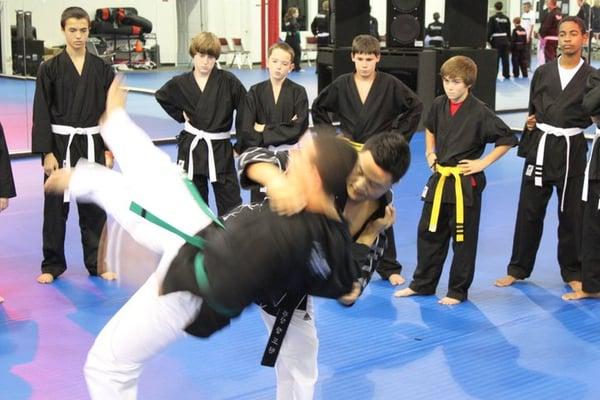 Hapkido Class (Ages 13+)