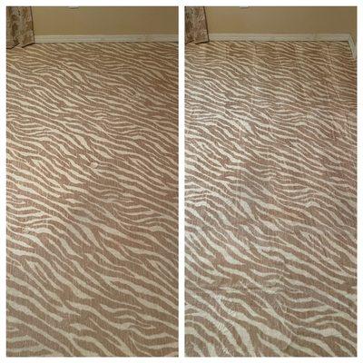 Check out this cool carpet we cleaned for a client in Olympia!