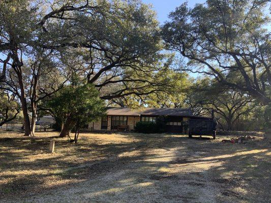 General trim, live oaks & cedar elm trees.