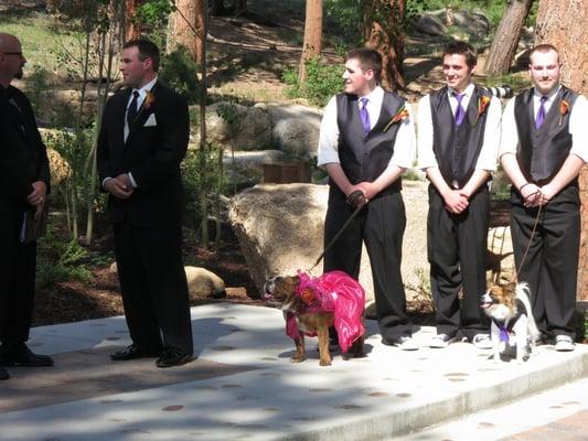 Dogs are part of the Ceremony!