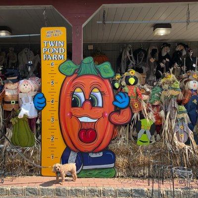 Twin Pond Farm Garden Center