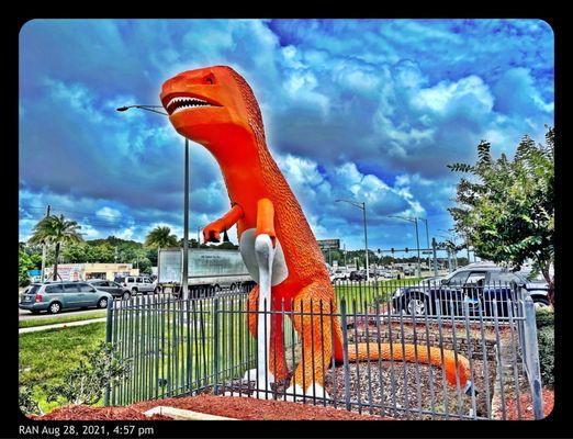 She is located on Beach Blvd.  Right behind the famous Dino