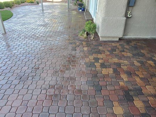 Paver cleaning & sealing