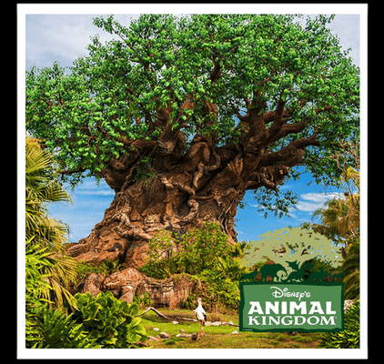 Animal Kingdom VIP Tour.