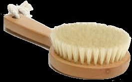 Full body dry brush included with our World Class -Mud Therapy session