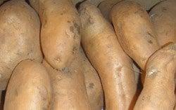 Organic Sweet potatoes