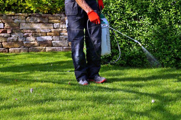 Pest Control Company in Sacramento, CA