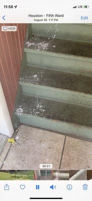 Pigeon feces on the stairs of the unit I was supposed to be living in