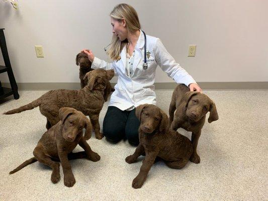 Dr. Noce meeting her patients.