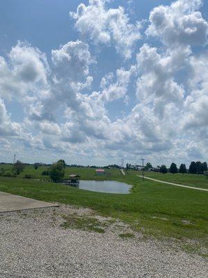 Pond in the backyard