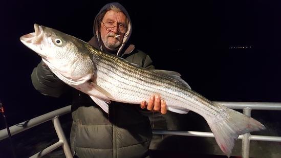 Pool fish 10/26 on live eel trip