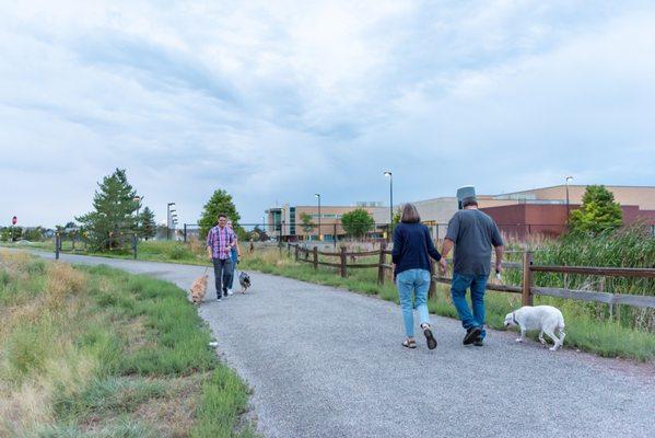 Image of two couples walking their dogs near a school in Commerce City