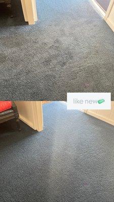 Restoring your carpet, it's what we do.