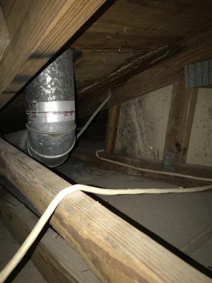 Got a roof leak? Mold? Rodents or Wild Animals?  When was the last time you had a thorough Termite / Attic Inspection?