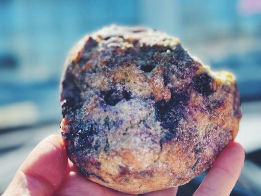 Blueberry scone