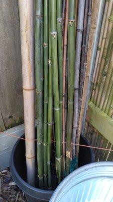 Call for availability bamboo poles - 206-781-9790 - Ask for Stan