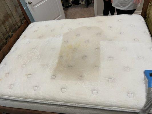 soiled mattress cleaning in progress