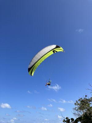 Paragliders