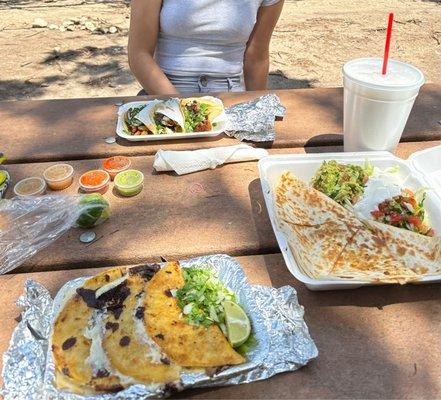 Birria tacos, al pastor quesadilla, al pastor tacos, & horchata.