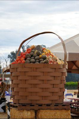 Decorations for fall harvest