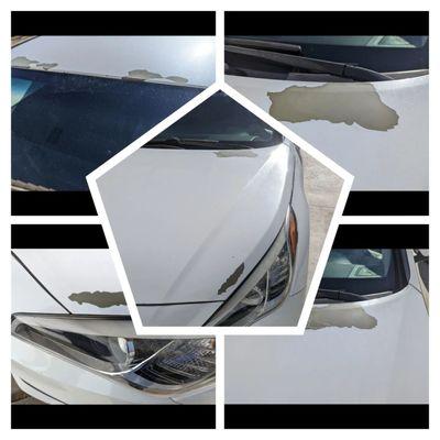 Chipping and peeling paint  Hyundai sonata Gosch hyundai