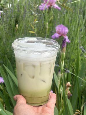 Iced Lavander Matcha Latte