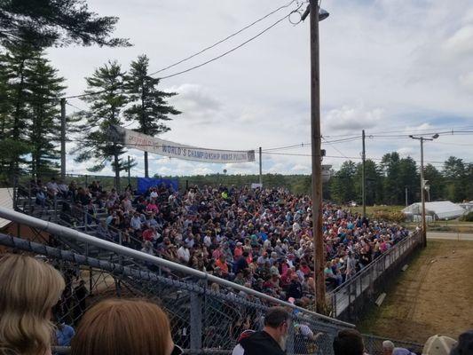 Crowds in the pull stadium