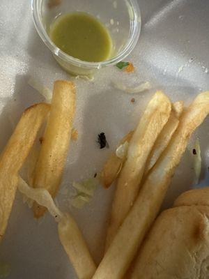 Mosca dorada en mi comida