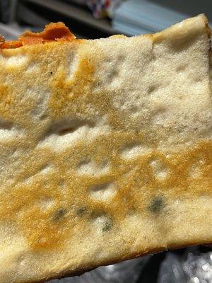 Moldy Pizza