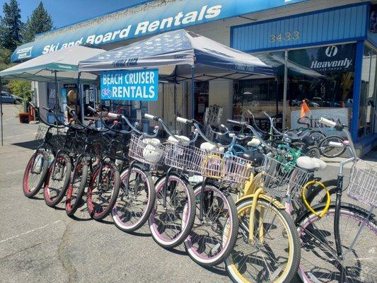 Bike Rentals