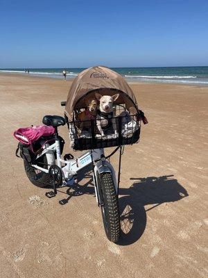 My bike and the road dogs